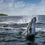 Book - Secrets Of The Whales Book, Signed By Author Brian Skerry